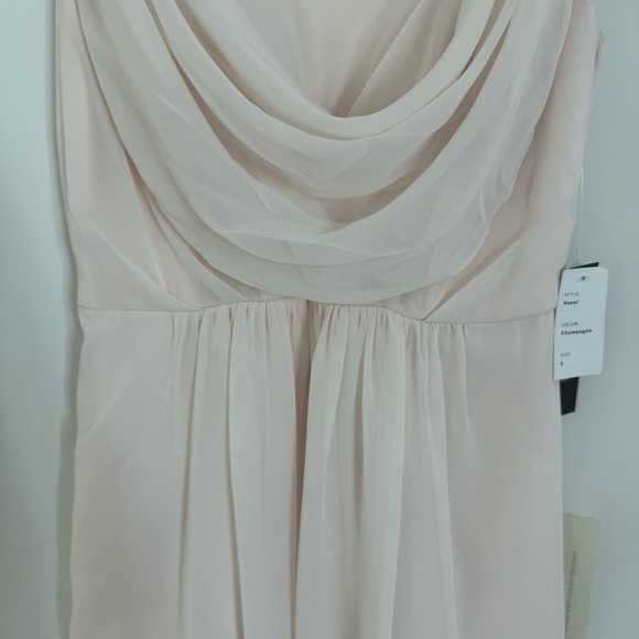 Adrianna Papell Champagne Yvory Blush Crepe Dress - Picture 4 of 12